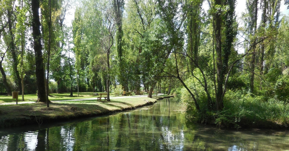 Umbria. Fonti del Clitunno, dove la natura si trasforma in Poesia e Benessere per l'anima