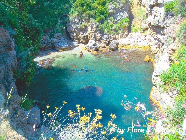 Foto da Fiore S. Barbato da Flickr