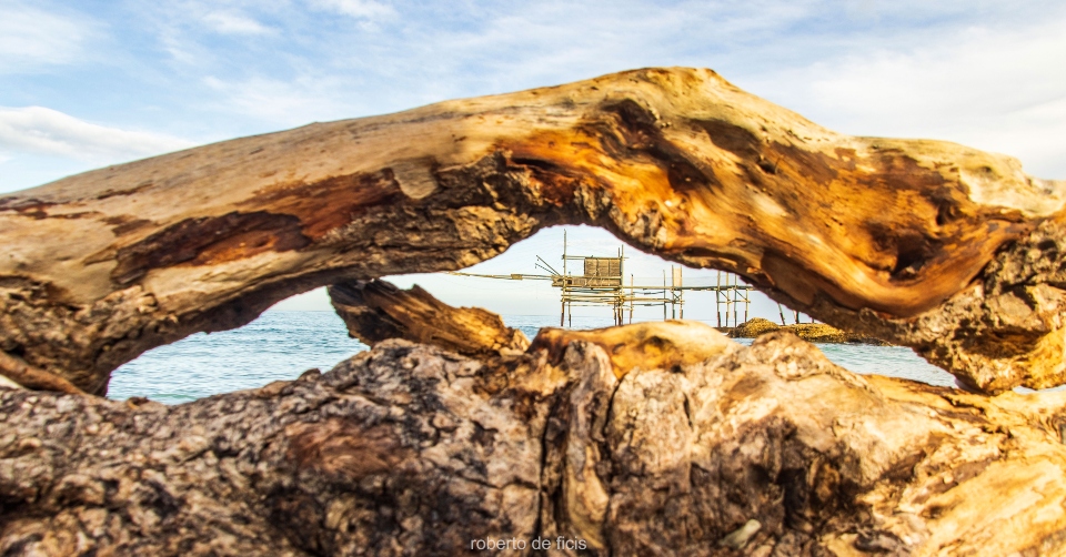 Sulla spiaggia, l'occhio del tronco che guarda al Trabocco di Punta Aderci