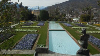 Come fare per visitare i Giardini Botanici di Villa Taranto tra i più belli del Mondo? / Video