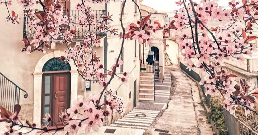 Pretoro. I colori di primavera arrivano nel Borgo del Lupo (guarda la foto originale)