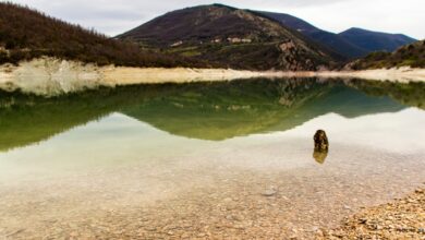 Hai già visitato il Lago di Fiastra, specchio trasparente nel cuore dei Monti Sibillini?