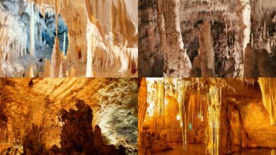 Hai già visitato le Grotte più Spettacolari tra Abruzzo, Puglia e Marche?