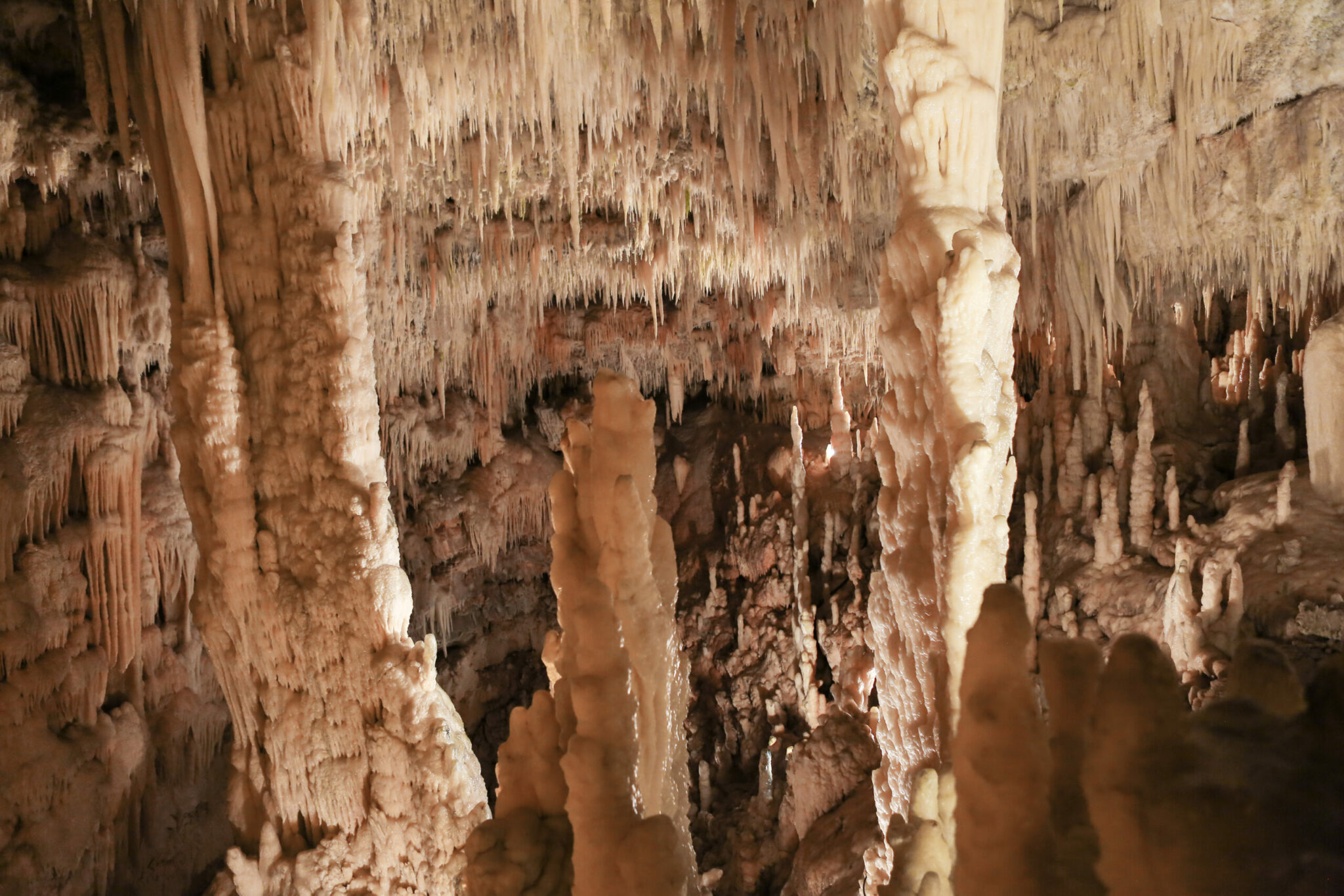 Grotte di Castellana. Hai già visitato la Grotta Bianca “la più splendente al mondo”? / Video