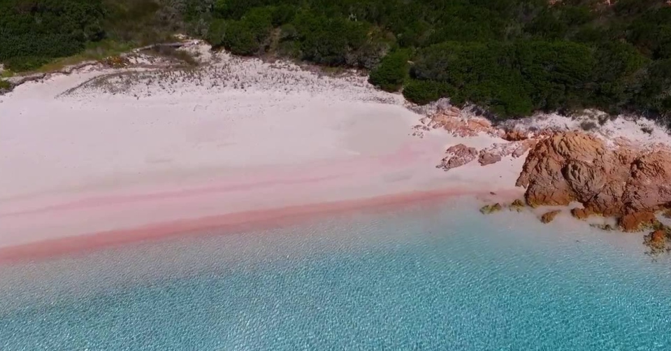 Come raggiungere e come fare per ammirare la Spiaggia Rosa? Collegamenti e cosa sapere