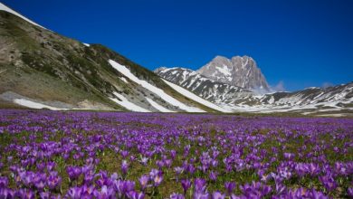 Parco Nazionale del Gran Sasso ecco la Lista Completa dei Sentieri Turistici (adatti a tutti) tra Montagna e Bellezza
