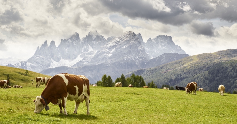 Trentino-Alto Adige. L'incredibile scenario delle Pale di San Martino viste da Fuciade