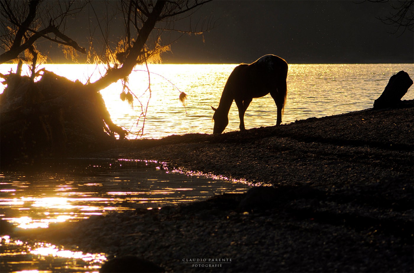 Abruzzo. Cavalli e sorsi di luce sul Lago di Barrea, un quadro magico e surreale