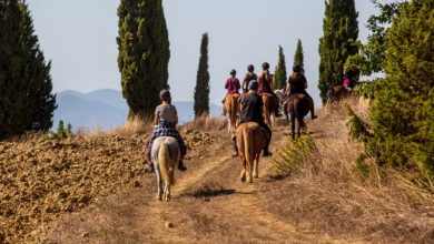 Toscana. A cavallo tra i paesaggi di Volterra e San Gimignano, tra natura, storia e cultura