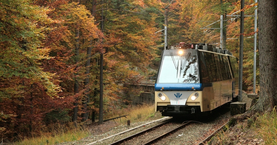 Hai già viaggiato sul “Treno del Foliage”, che "corre lento" in uno splendido paesaggio autunnale? Orar, costi e come prenotare