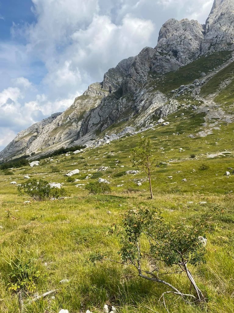 Milvana Valentini - Itinerario in Abruzzo. Da Prati di Tivo verso la Cascata del Rio Arno proseguendo per la Val Maone Guarda tutte le foto (4)
