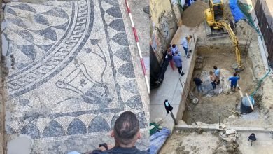 Pescara. Riemerge il mosaico romano del III Secolo dopo Cristo