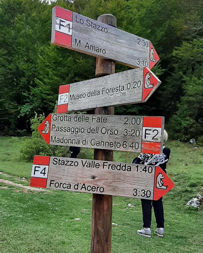 Hai già attraversato il Ponte Tibetano immerso nella Natura della Val Fondillo nel Parco Nazionale d'Abruzzo