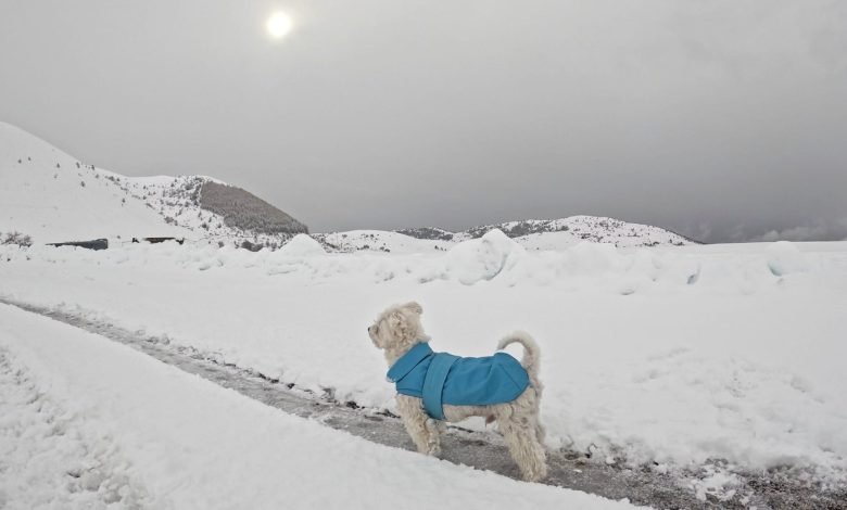 Abruzzo, Assergi. Un soffice manto di Neve e di Pace al Rifugio Montecristo