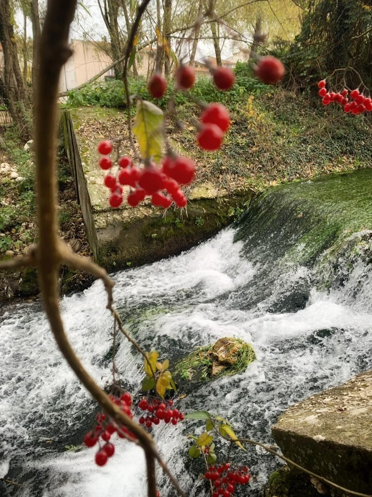 Abruzzo. Hai già visitato il magico Parco Italia a Castel di Sangro Foto e breve recensione (7)