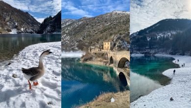 Una spolverata di neve rende magico il Lago di San Domenico (guarda tutte le foto)