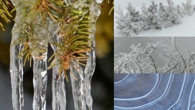 Natura ghiacciata diventa opera d'arte nel Parco Naturale Sirente Velino Guarda tutte le foto