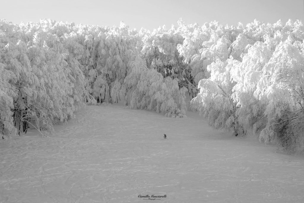 Silenziosi e soffici boschi di Passolanciano (Ch) coperti dalla neve