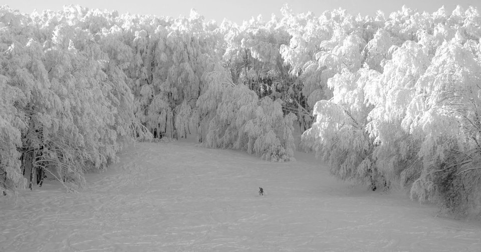 Silenziosi e soffici boschi di Passolanciano (Ch) coperti dalla neve