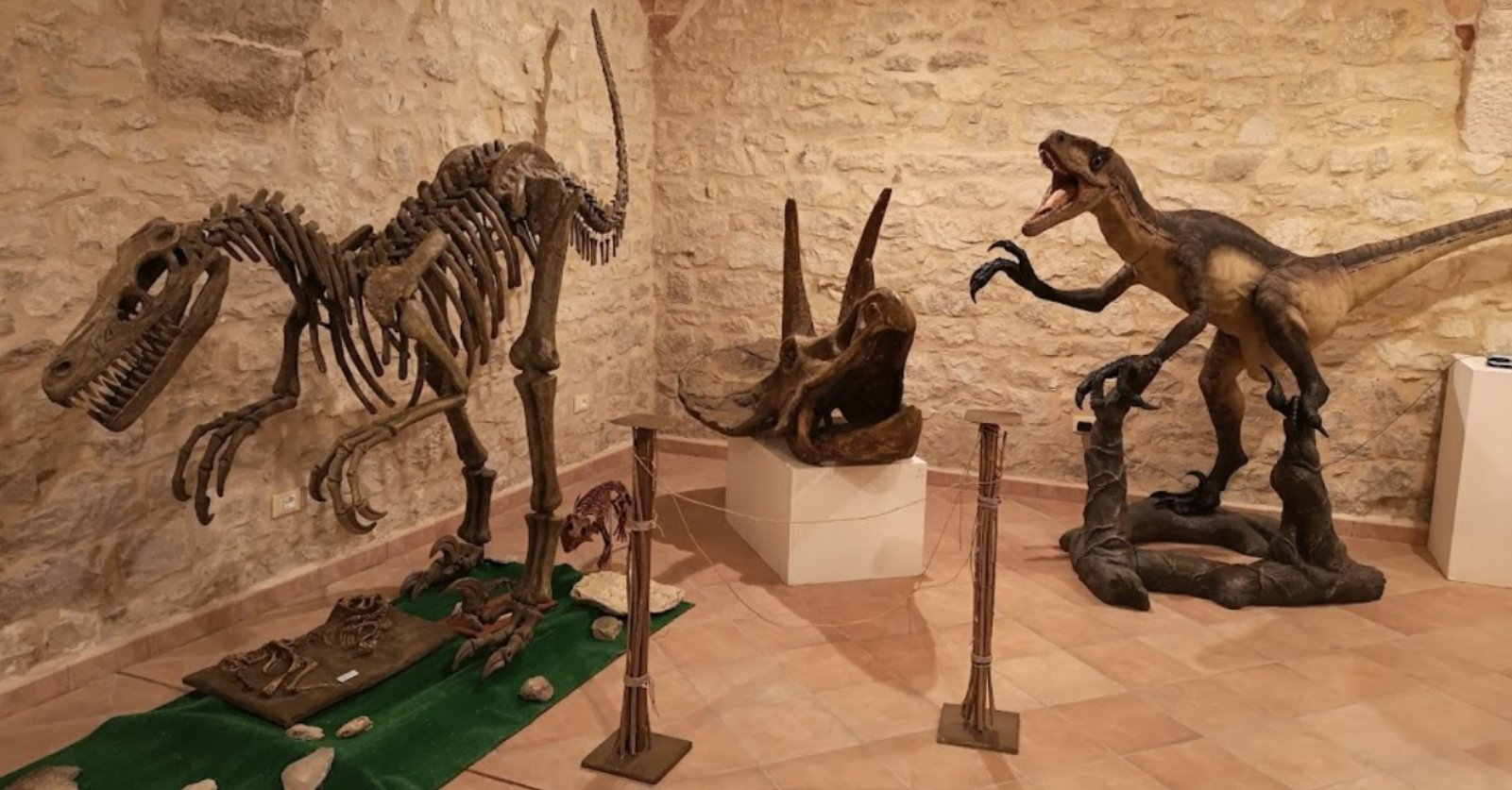 museo dei fossili