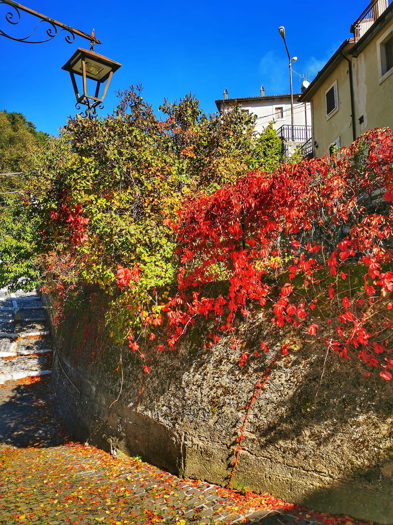 Foliage a Villetta Barrea (AQ)