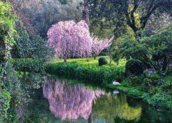 why visit the Gardens of Ninfa, what plants ae there are, how to reach them