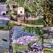 Sentiero del Cuore Scanno e Lago di San Domenico Villalago