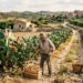 Le vie dei fichi d’India tra Sicilia Calabria e Puglia