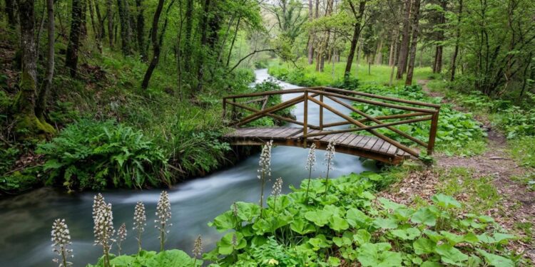 Parco fluviale delle Acquevive (generata con AI a solo scopo illustrativo)