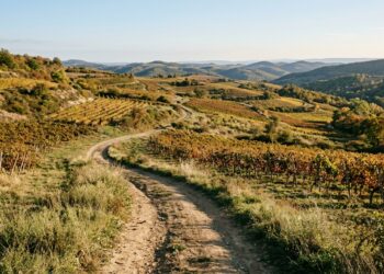 Percorsi ad anello nei parchi regionali, 3 idee facili per settembre