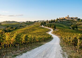 Settembre in Umbria tra Montefalco e Bevagna, il viaggio lento della vendemmia