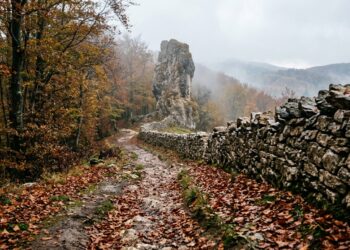 Foliage in Lessinia, dove vedere i colori d’autunno vicino a Verona