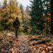 Foliage in Cansiglio e Alpi Carniche tra abeti, larici e sentieri d’autunno