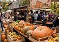 Festa della Zucca a Lovadina di Spresiano