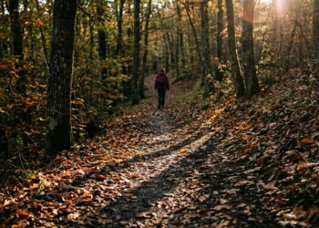 Foliage vicino a Genova, i sentieri più belli tra Deiva Aveto e Beigua