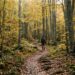 Foliage nella faggeta UNESCO del Gargano tra Foresta Umbra e Vico del Gargano