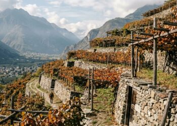 Donnas in ottobre tra Picotendro e vigne eroiche fino al borgo di Bard