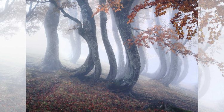 Icone d'abruzzo - Jacci di Verre - Autunno 2025