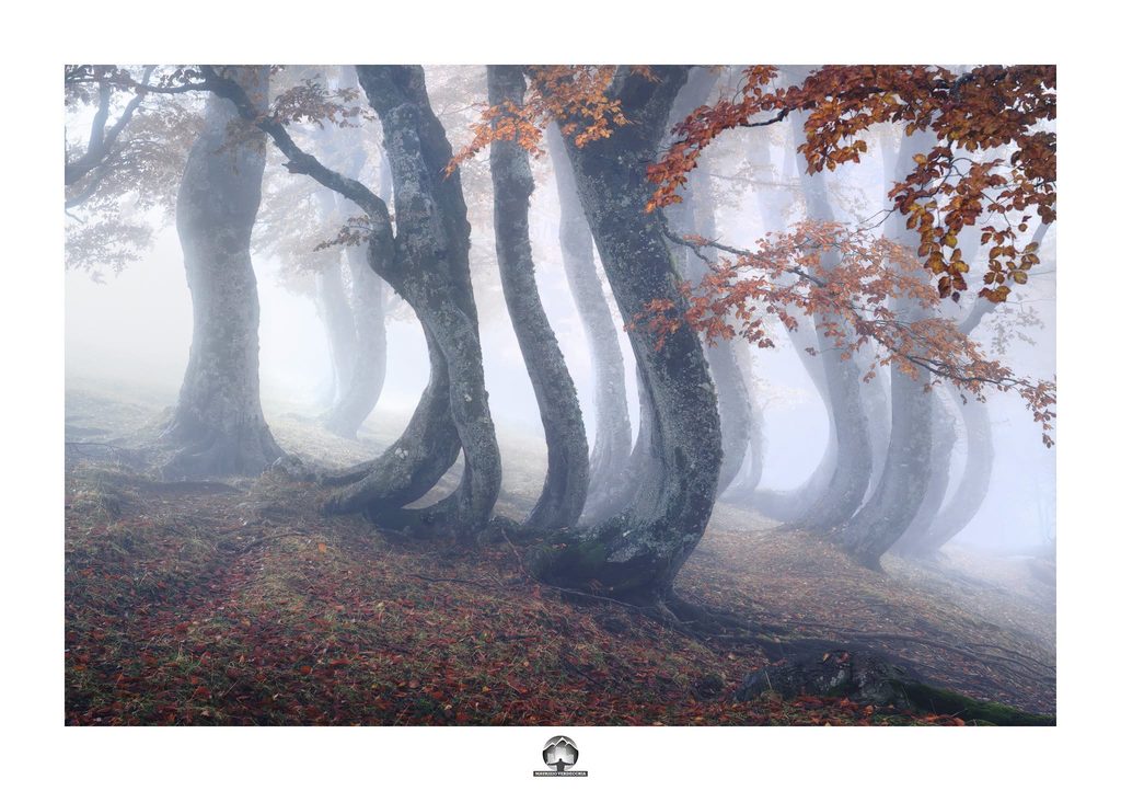 Icone d'abruzzo - Jacci di Verre - Autunno 2025