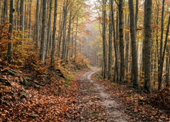 Foliage nella provincia dell Aquila dove vedere i colori d autunno tra faggete borghi e laghi