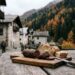 Foliage e Sagra della Ciuìga a San Lorenzo in Banale tra borghi e laghi