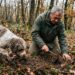 Weekend al tartufo nelle Marche, cerca nel bosco a Sant Angelo in Vado