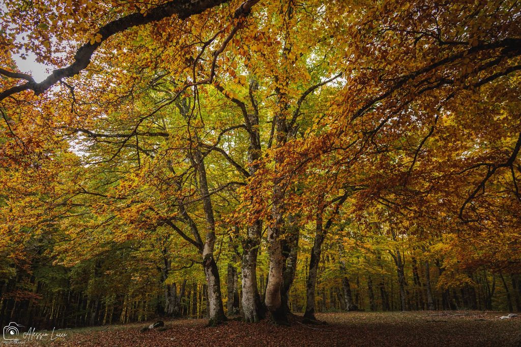 Viaggio al centro del Foliage a Marsia foto di Alessio Lucci
