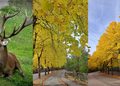 autunno a villalago