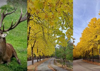 autunno a villalago