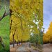 autunno a villalago