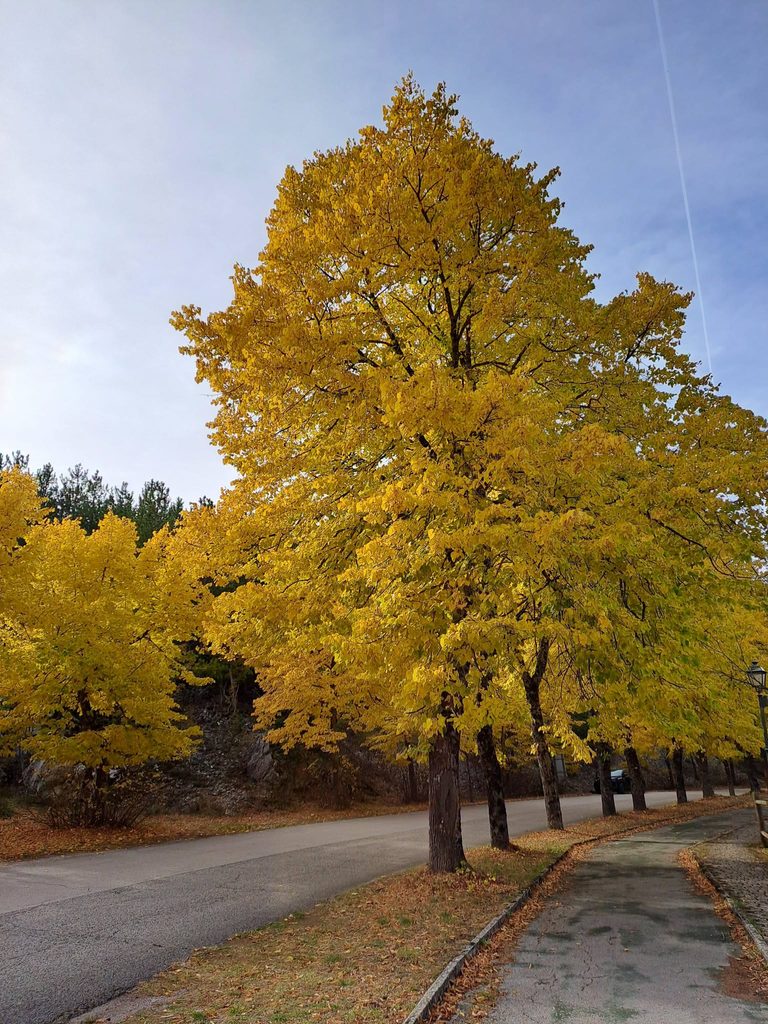 autunno a villalago
