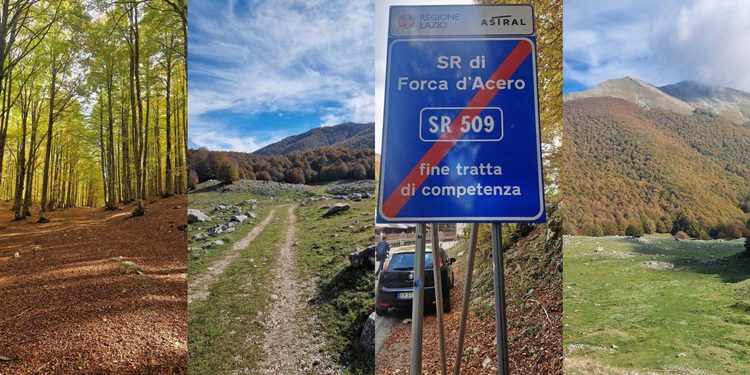 forca acero