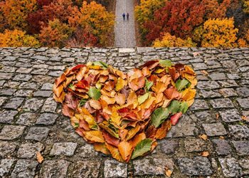 posti dove ammirare il foliage in Italia