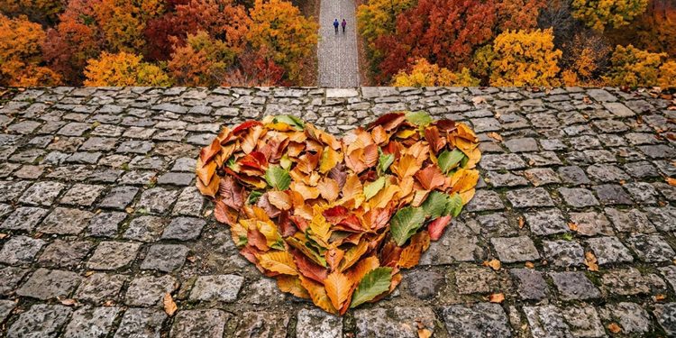 posti dove ammirare il foliage in Italia